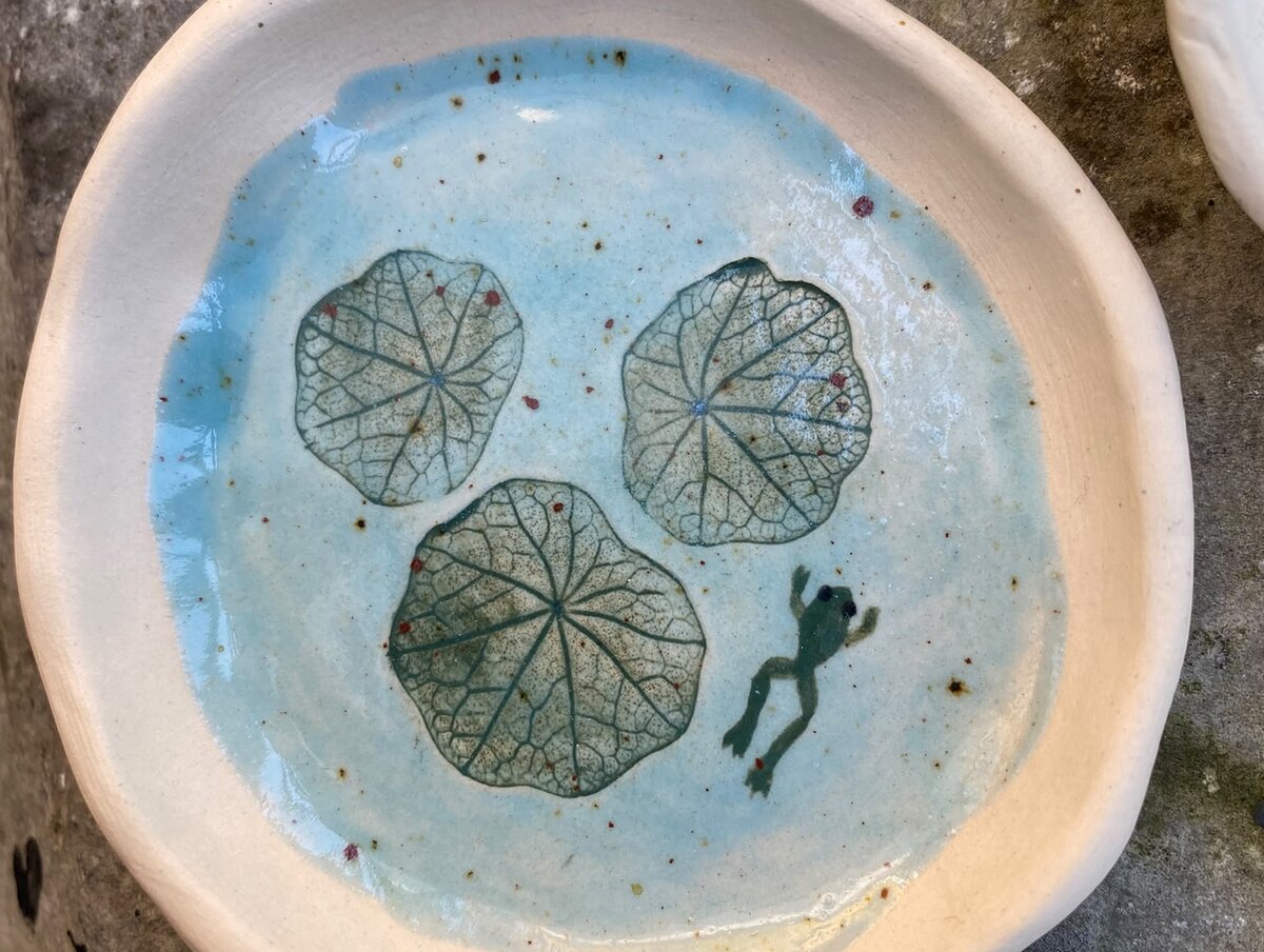 Frog dish view 2