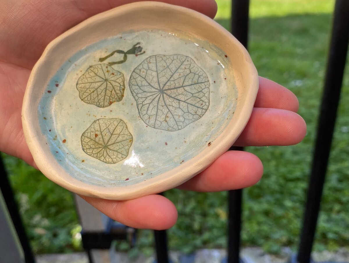 Frog dish view 3