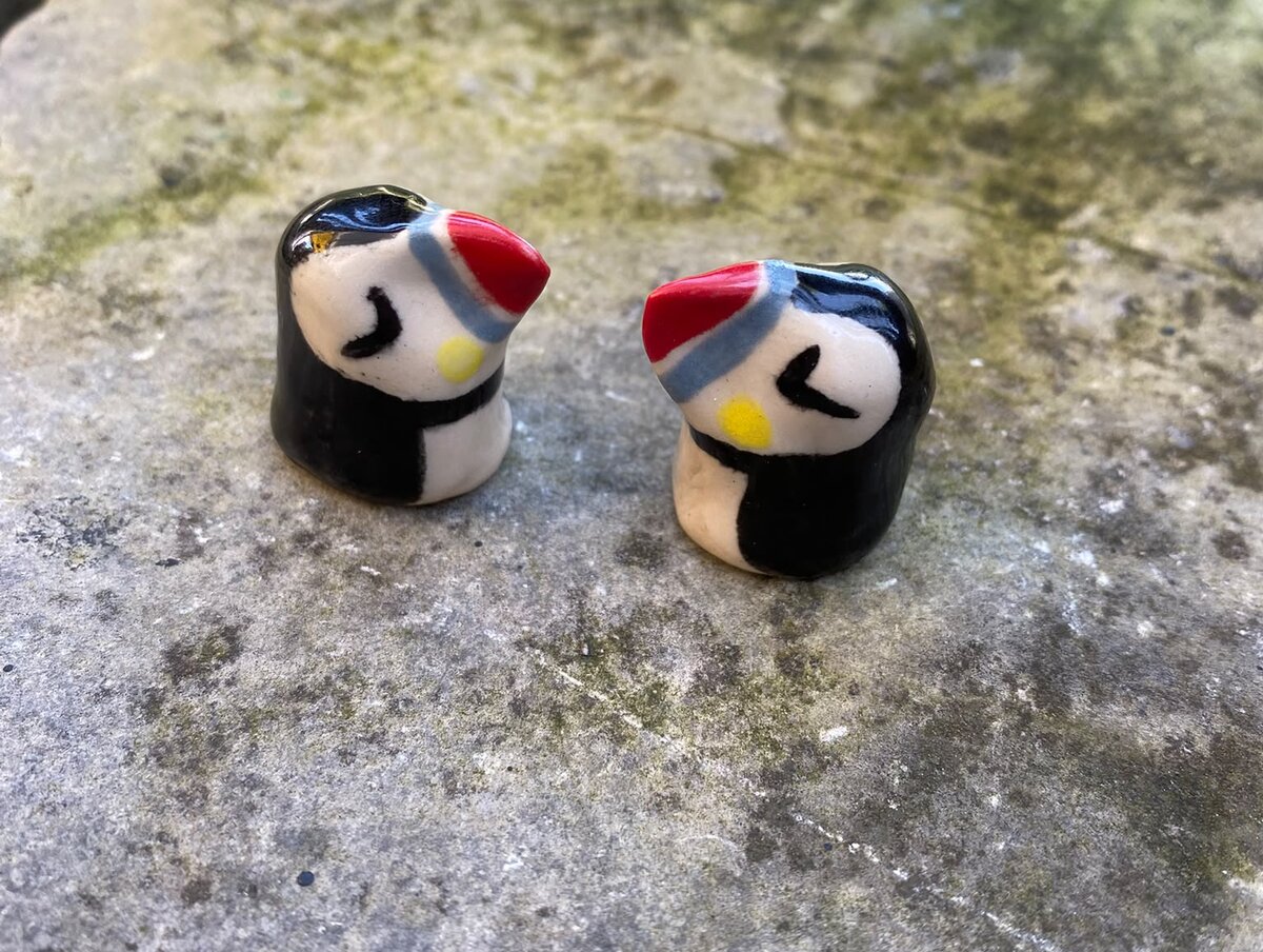 Puffin view 2